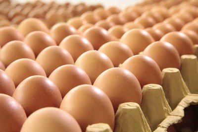 广元鸡蛋检测价格,鸡蛋检测机构,鸡蛋检测项目,鸡蛋常规检测